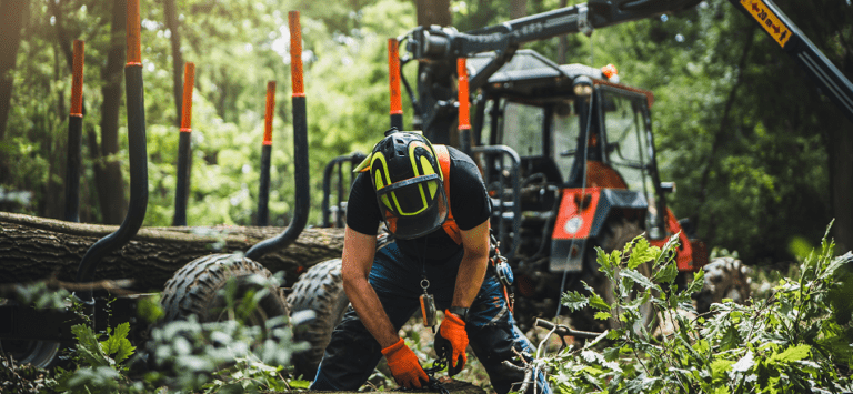 Forestry